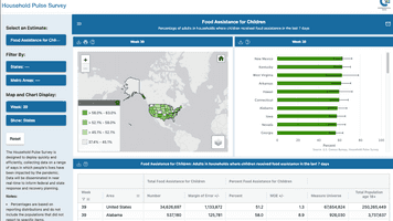 Household Pulse Survey screenshot
