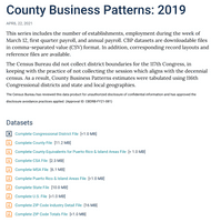 County Business Patterns (CBP) Datasets screenshot