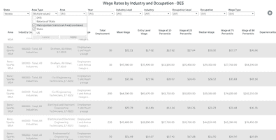 DETR Occupational Employment and Wages OES screenshot